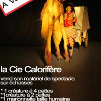 Affiche vente deambulation copie