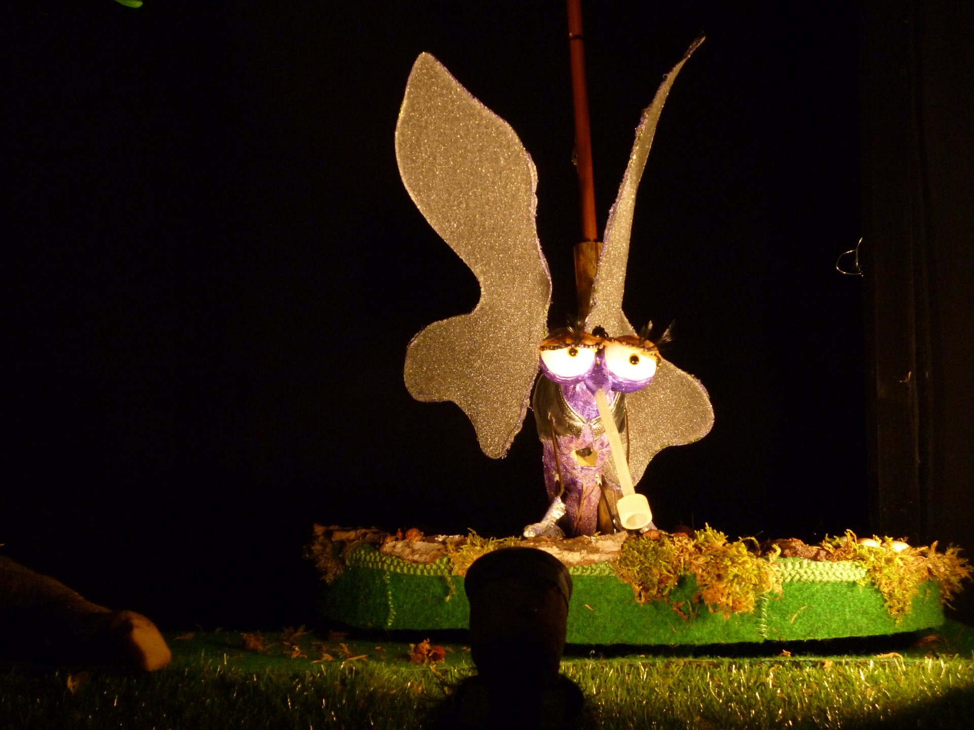 farfallino le papillon